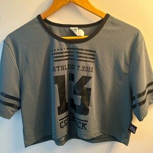 Cell Block 13 Gray Mesh Crop Top